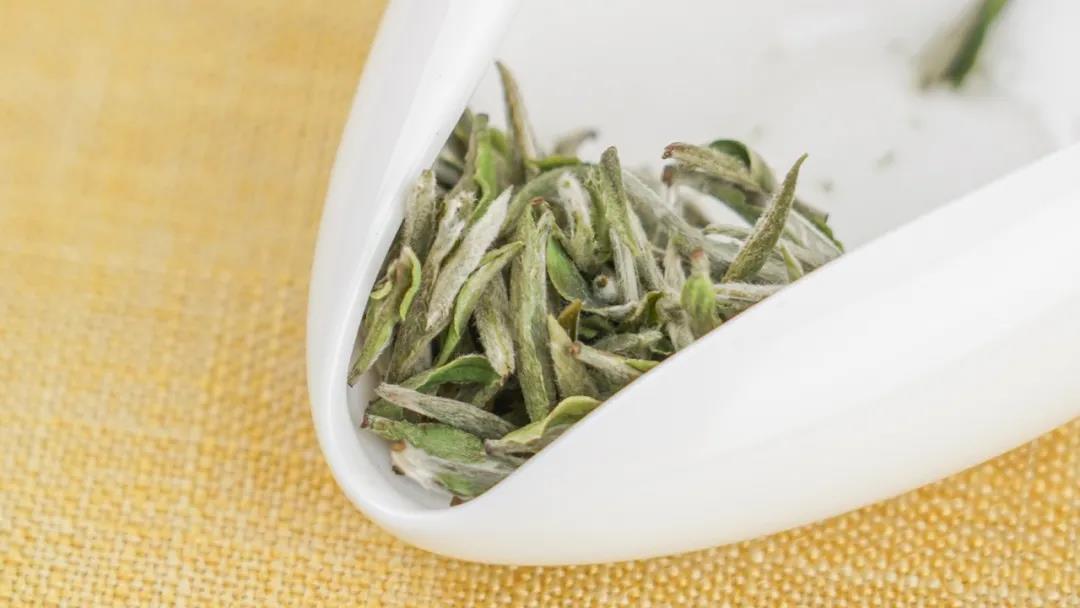 white needle tea